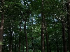 -广富林郊野公园