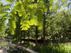 -白水寺森林公园