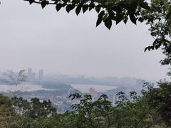 -紫金山天文台