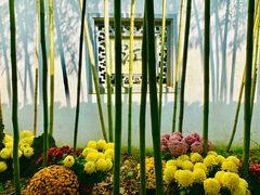-杭州植物园
