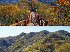 -大岭沟猕猴桃谷风景区