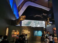 -贝林大翅鲸简餐厅(国家海洋博物馆店)