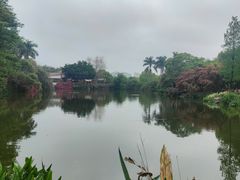 -八仙山公园