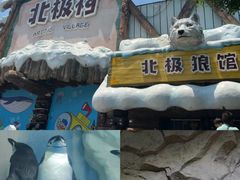 -海合安成都极地海洋公园
