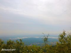 -遵化市禅林寺古银杏风景园