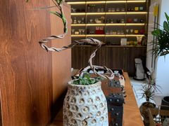 -PANGEAISM璞-郎园店