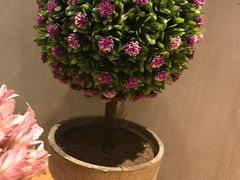 -老城区炭火牛蛙锅(国展中心店)