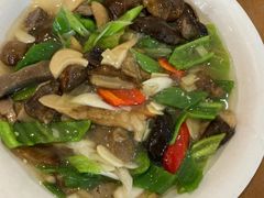 青椒大把菌-古蔺郑胖娃(泸州总店)