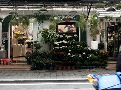 -溪岸路花鸟市场