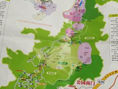 -大围山国家森林公园