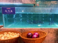-鱼你相聚·河鲜馆(袁家岭店)