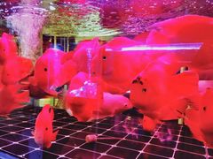 -华声天桥民俗文化园