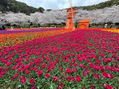 -苏州上方山国家森林公园