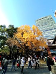 -上海瑞金洲际酒店·宴会厅
