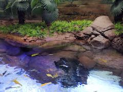 -上海海洋水族馆