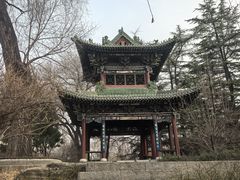 -迎泽公园