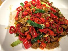 -老板恋上鱼(高新万达店)