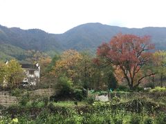 -塔川景区