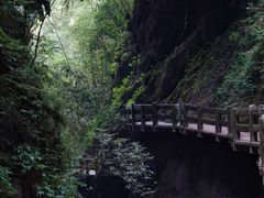 -龙水峡地缝景区