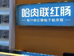 -哈尔滨太平国际机场-T2航站楼