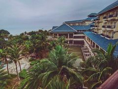 -采粤轩中餐厅(惠州金海湾喜来登度假酒店)