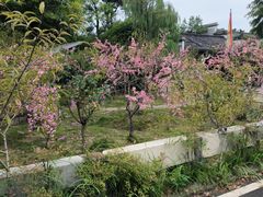 -张公山寨景区