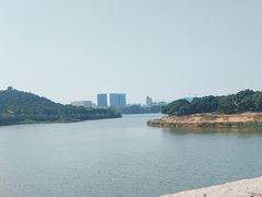 -立新湖公园