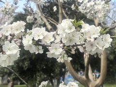 -堤角公园