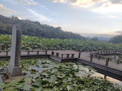 -山外山·林语花园餐厅
