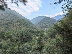 -大奇山国家森林公园