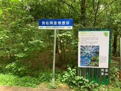 -同里国家湿地公园