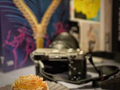 -潮一不贰·法式甜品·生日蛋糕·西式简餐(外滩店)