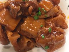 -刘胖子家常菜·蹄花焖藕(中南店)