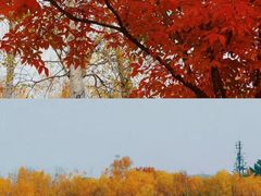 -长春市南湖公园