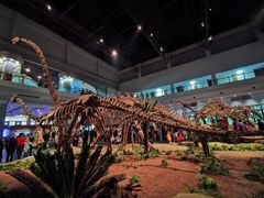 -自贡恐龙博物馆