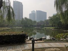-木塔寺遗址生态公园