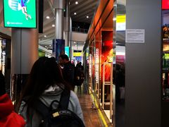 -谢列梅捷沃国际机场