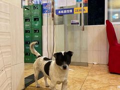 -大众美蛙鱼头(民心佳园总店)