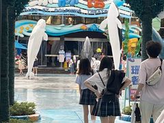 -海合安成都极地海洋公园