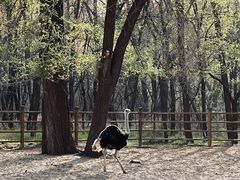 -秦皇岛野生动物园