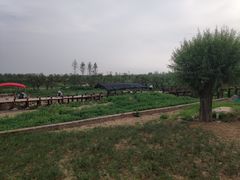 -汉长安城未央宫国家考古遗址公园