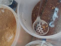 -徐氏糯米包油条(三眼桥分店)