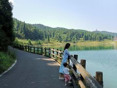 -武陵山森林公园