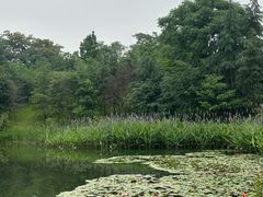 -白鹭湾湿地公园