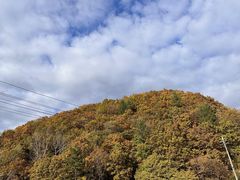 -汤旺河林海奇石景区
