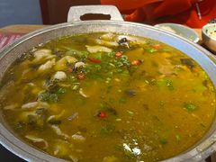 -鸡毛店·川菜(双楠店)