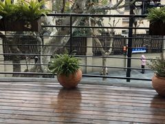 -龙门阵茶屋川菜馆(武康路店)