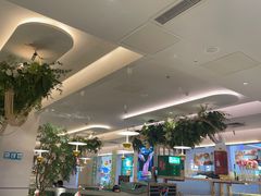 -Aqua Oasis 水天堂(太湖中心mall店)