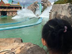 -七彩云南欢乐世界