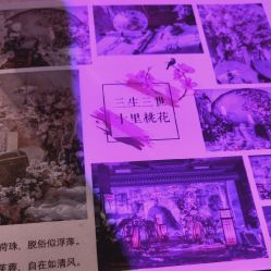-红丝高端婚礼中心(旗舰店)